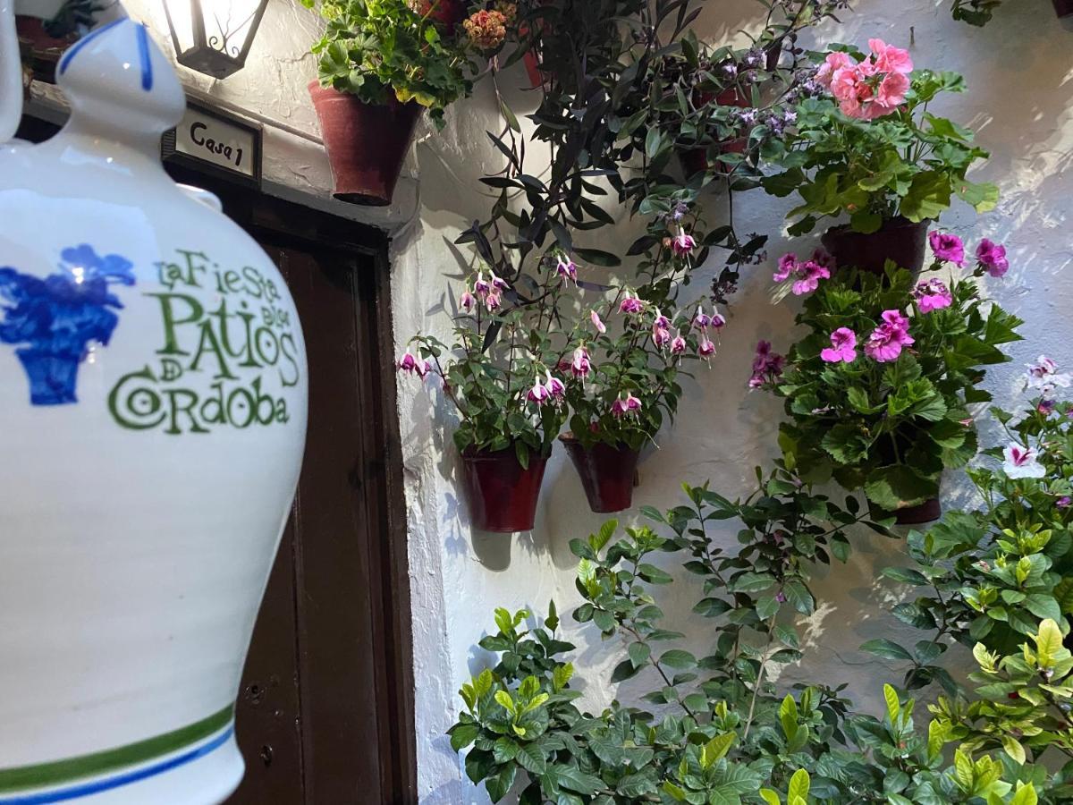Atico Casa Lola Apartment Córdoba Exterior foto